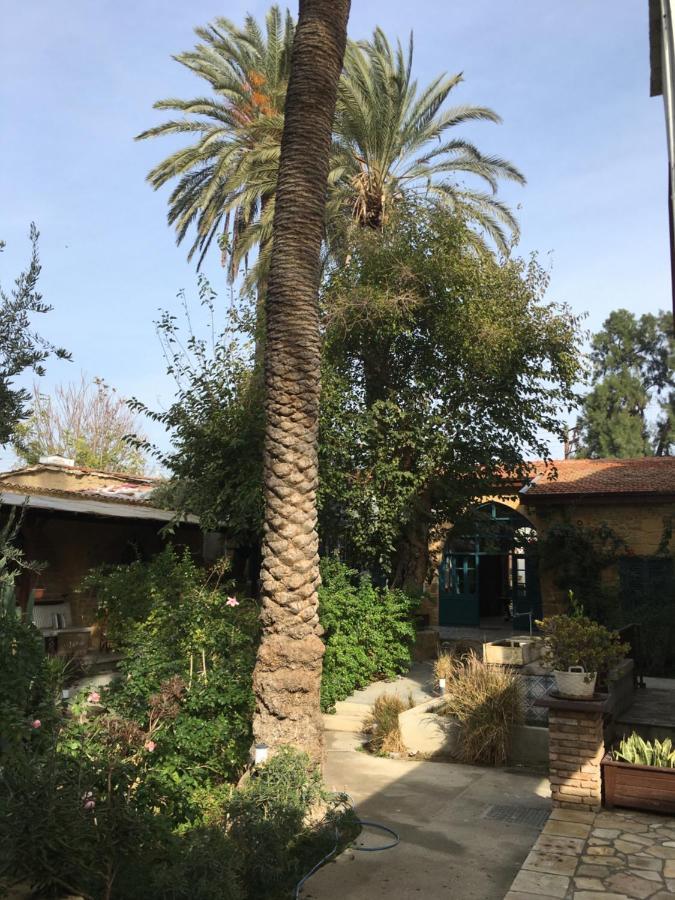 Palm Garden Guest House Nikosia Eksteriør bilde